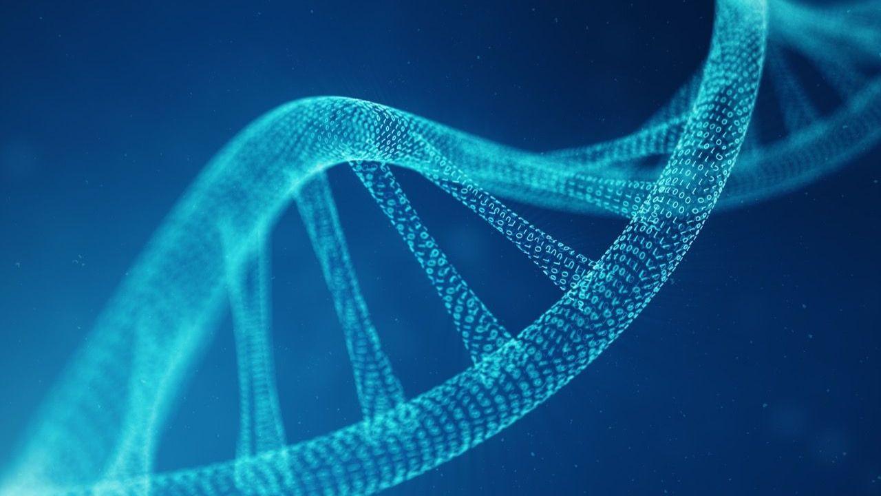 Work begins to create artificial human DNA from scratch